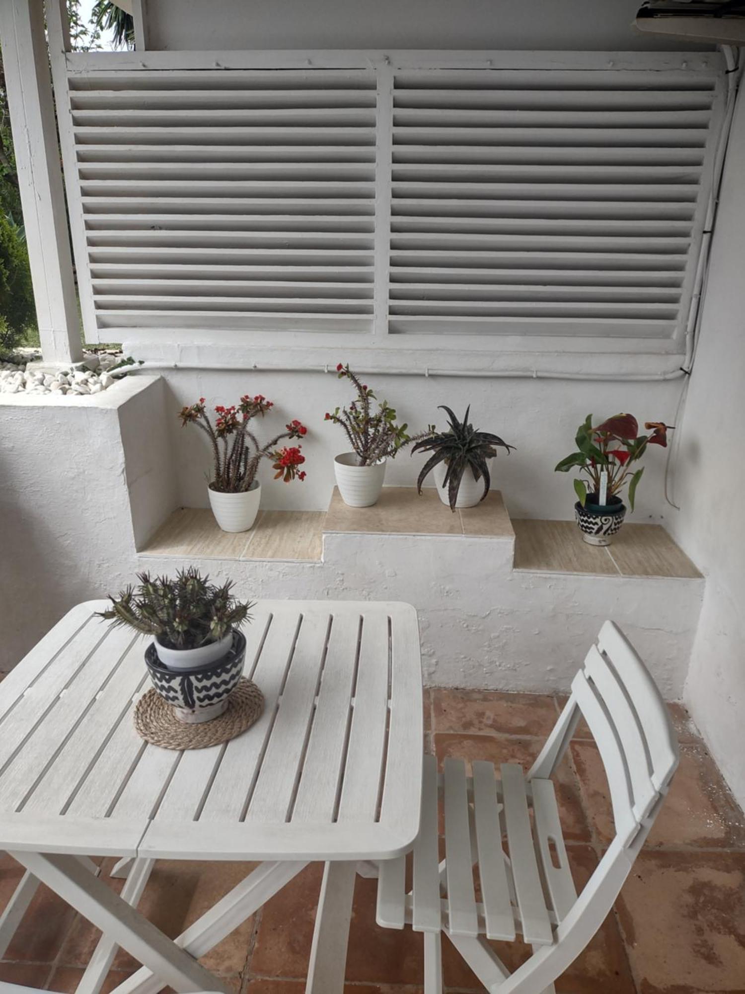 Puerto Banus Apartment Near Beachfront, Sunny Terrace, Pool, Tennis Court, Parking And Movies Projector Marbella Exteriér fotografie